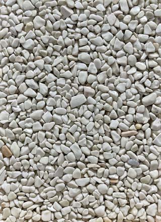 Coloris PRGM-303