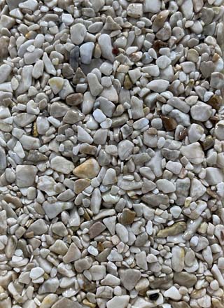 Coloris PRGM-304