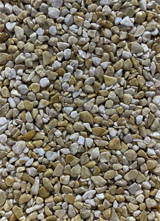Coloris PRGM-308