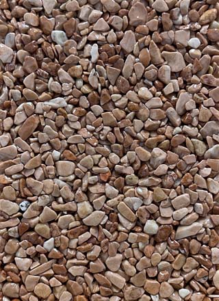 Coloris PRGM-310