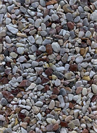 Coloris PRGM-313