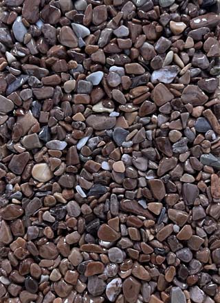 Coloris PRGM-314