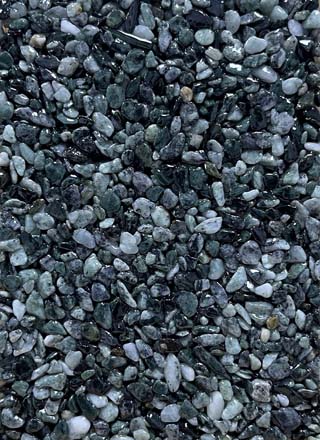 Coloris PRGM-316
