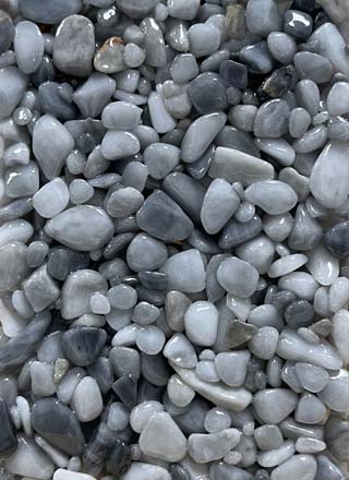 Coloris PRGM-317
