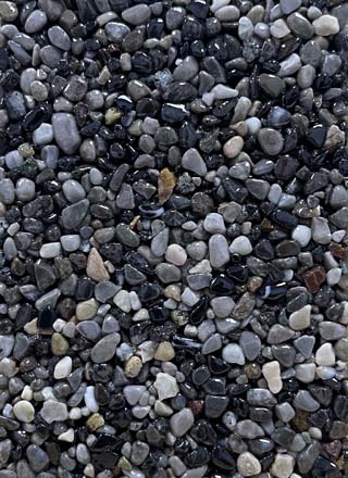 Coloris PRGM-319