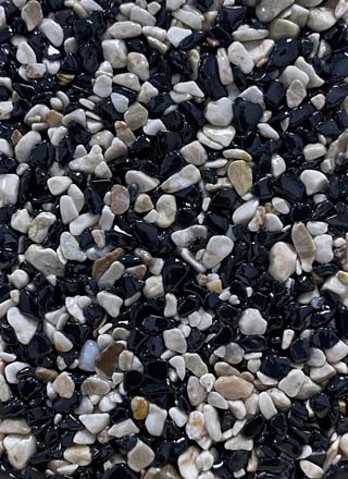 Coloris PRGM-321