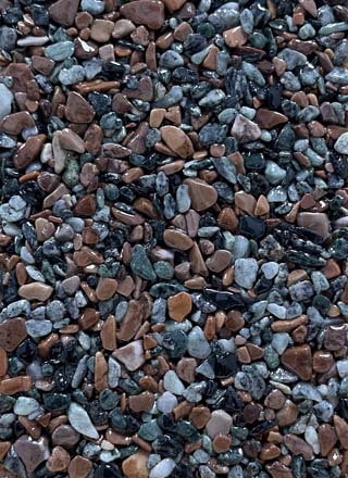 Coloris PRGM-341
