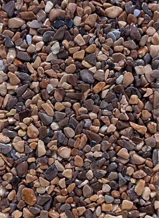 Coloris PRGM-348