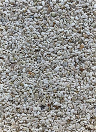 Coloris PRGM-352