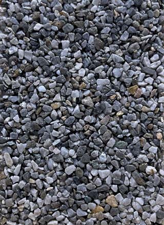 Coloris PRGM-353