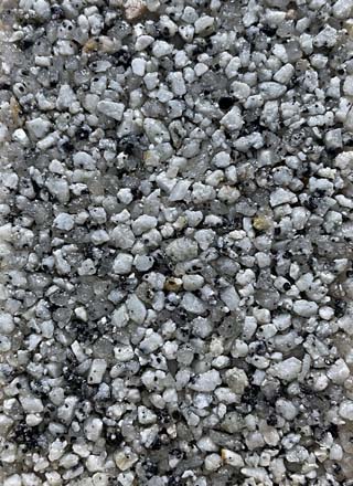 Coloris PRGM-356