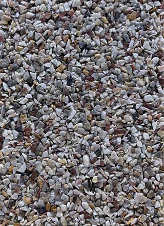 Coloris PRGM-362