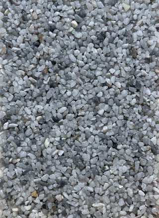 Coloris PRGM-364