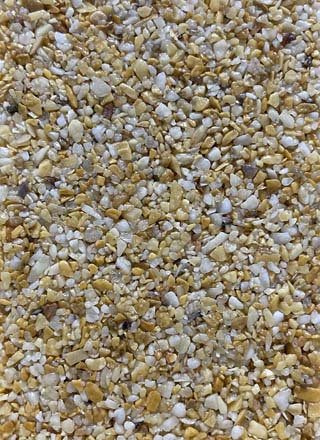 Coloris PRGM-369