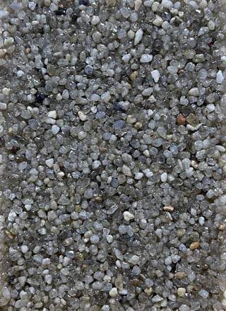 Coloris PRGM-372