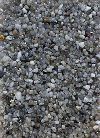 Coloris PRGM-374