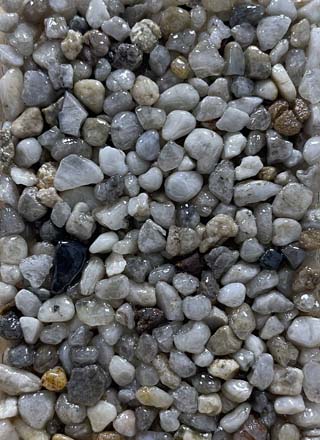 Coloris PRGM-375