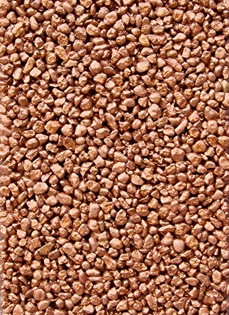 Coloris PRGQM-503