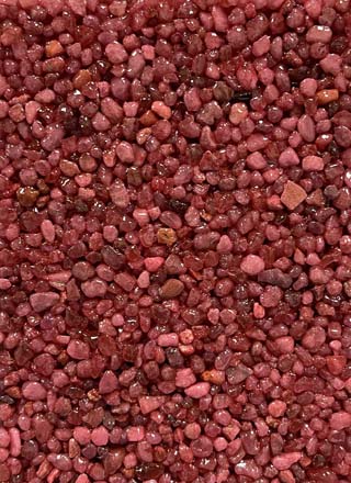 Coloris PRGQS-206