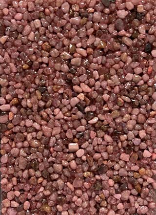 Coloris PRGQS-207