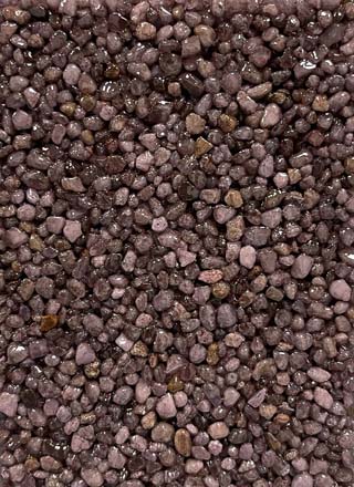 Coloris PRGQS-268